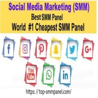 Top SMM Panel is the worlds top SMM panel for the resellers 